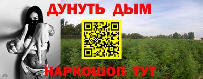 PSILOCYBIN Гай